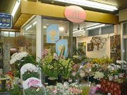 「花苑アイチ」　（京都府向日市）の花屋店舗写真1
