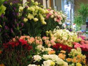 「花苑アイチ」　（京都府向日市）の花屋店舗写真2