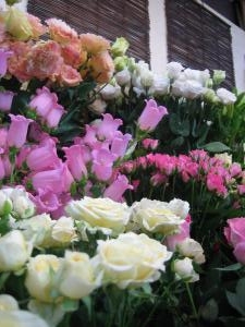 切り花！！｜「花苑アイチ」　（京都府向日市の花キューピット加盟店 花屋）のブログ